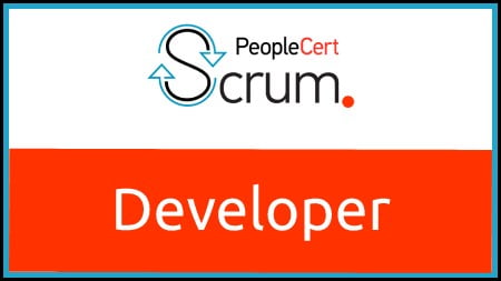 SCRUM DEVELOPER